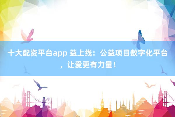 十大配资平台app 益上线：公益项目数字化平台，让爱更有力量！