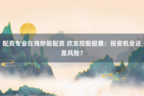 配资专业在线炒股配资 欣龙控股股票：投资机会还是风险？