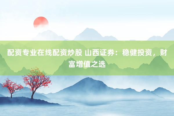 配资专业在线配资炒股 山西证券：稳健投资，财富增值之选
