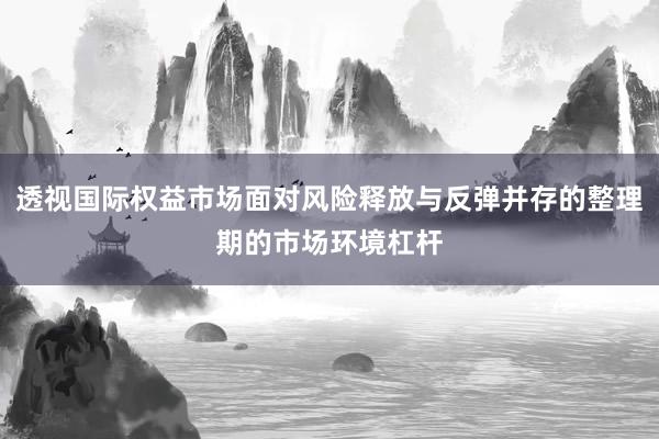 透视国际权益市场面对风险释放与反弹并存的整理期的市场环境杠杆