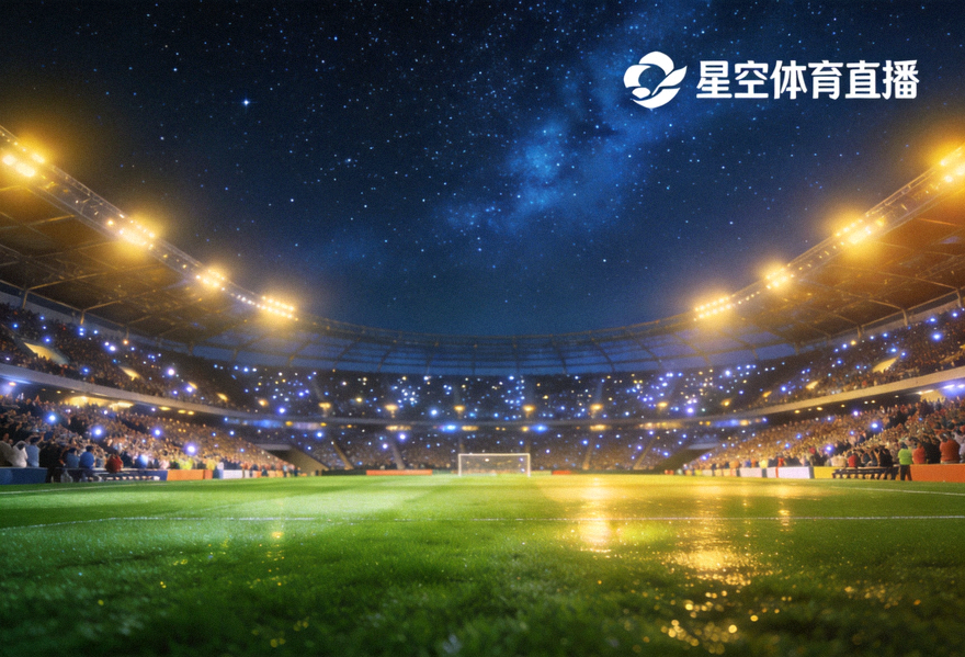 夜晚灯光下的足球场与看台观众，星空体育直播画面